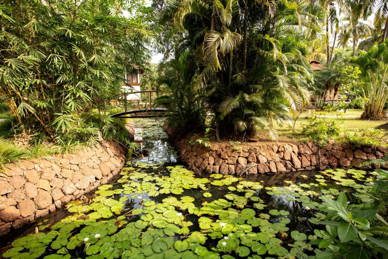 Coconut Creek Resort - Dabolim Airport Mormugao Buitenkant foto
