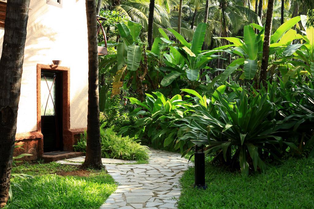 Coconut Creek Resort - Dabolim Airport Mormugao Buitenkant foto